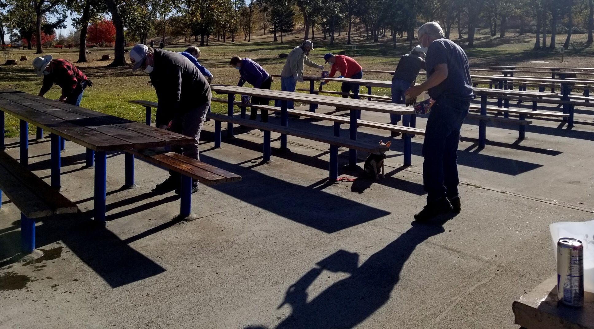 Picnic Preservation